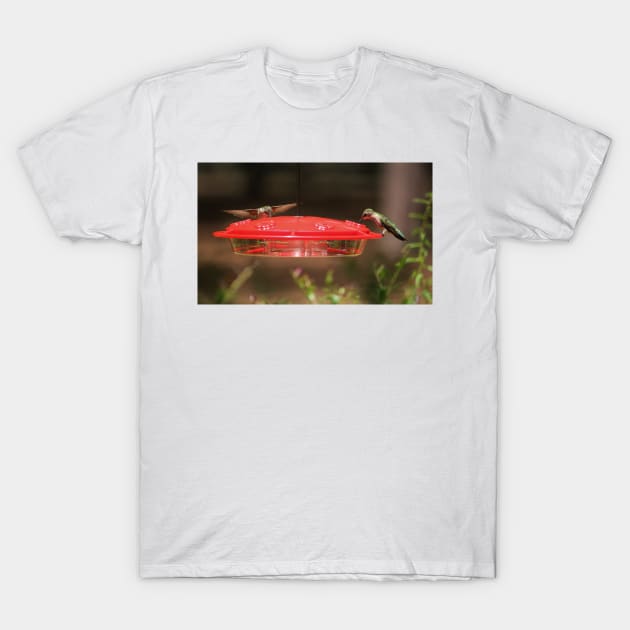 Hummingbirds At Feeder T-Shirt by Cynthia48